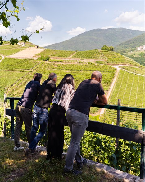 La famiglia Zanotelli affacciata sui vigneti terrazzati della Valle di Cembra