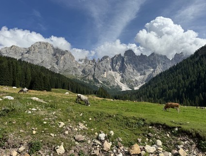 Le Dolomiti che circondano la Valle di Cembra